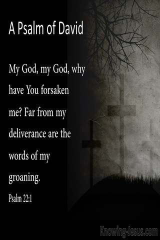 Psalm 22:1 My God  My God  Why Have You Forsaken Me (gray)